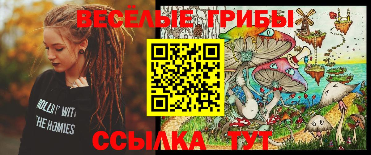 Галлюциногенные грибы мухоморы  Вход с VPN  Мытищи 